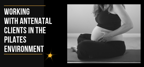 Working with Antenatal Clients in the Pilates Environment £125