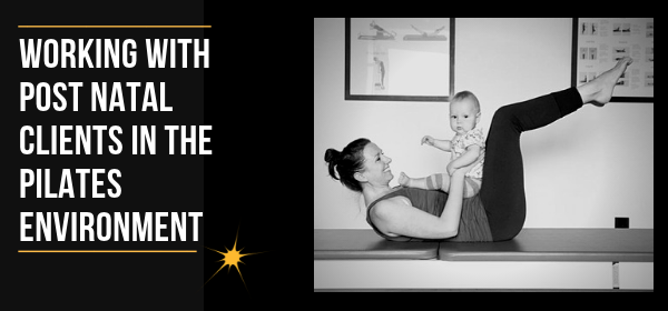 Working with Postnatal Clients in the Pilates Environment £125