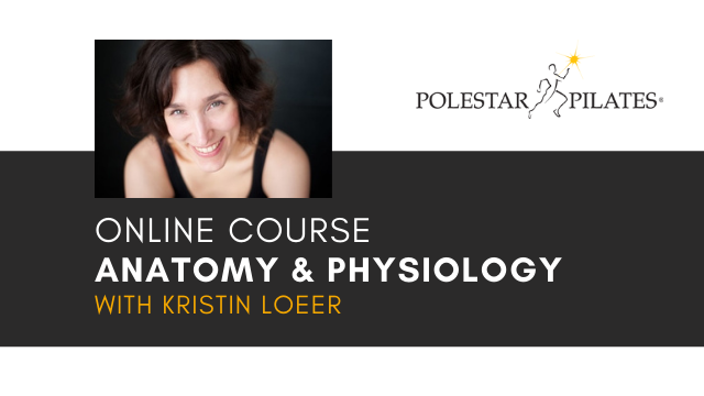 Anatomy & Physiology Course with Kristin Loeer