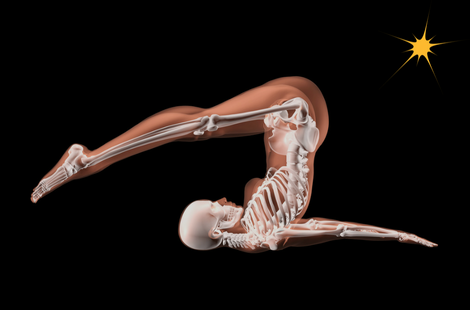anatomy polestar pilates uk